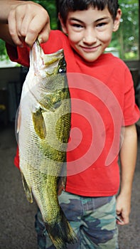 Large Mouth Bass Fish