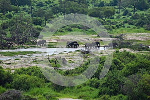 large national park in Africa. Wildlife protected nature of Tanzania. Wild scenic landscape.