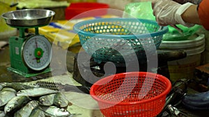 A large number is fresher than fish on iron supports. Vietnam. cutting fish. Fresh fish on a market counter in Vietnam