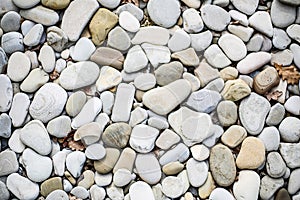 A large number of sea pebbles close-up.Texture.Background.