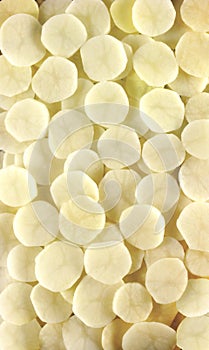A large number of sliced round slices of raw potatoes .Texture or background
