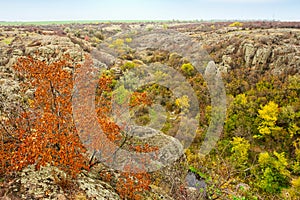 A large number of stone minerals covered with green vegetation lying above a small river in picturesque Ukraine and its