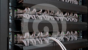 Large number of wires and cables in modern server and network equipment with flashing green lights and optical severs computer in