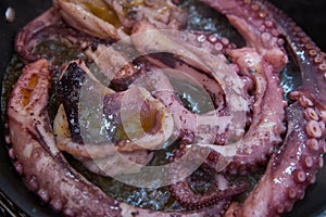 The large octopus is fried on a frying pan, Feelers of violet color, close-up