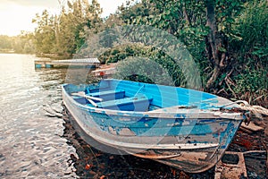 Large old blue boat and two paddles on shore beach. Beautiful landscape sunset view at Canadian Ontario Beech lake in Muskoka area