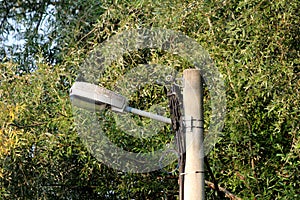 Large old street lamp mounted on concrete utility pole with connected multiple black electrical wires and dense trees and leaves