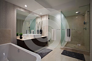 Large open Bathroom photo