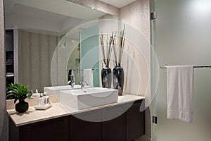 Large open Bathroom