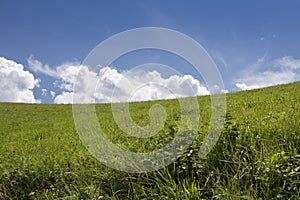 Large open field and clear sky