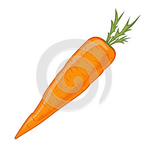 Large orange cartoon carrot. Isolated on white background.