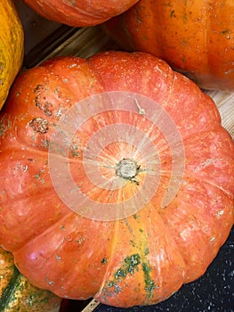 Large Orange Cinderella Pumpkin