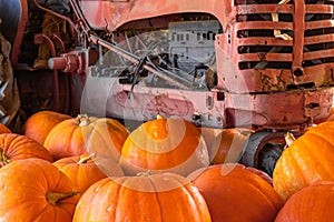 Large orange Halloween Thanksgiving pumpkins in foreground, old red vintage tractor engine in background