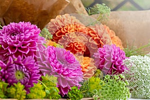 Large orange and pink autumn dahlia flowers. Floral background
