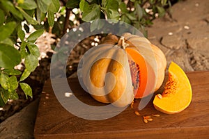 A large orange pumpkin is lying on a stone path