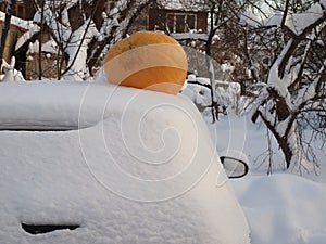 Large orange pumpkin on a snow-covered car in an old garden. Winter still life