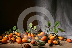 Large orange rose hips