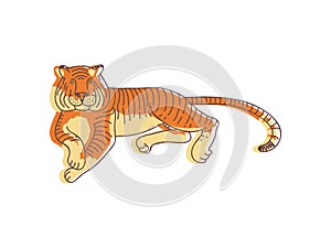 Large orange tiger lying on the ground. Predatory animal with striped coat and long tail. Wildlife and fauna theme. Line