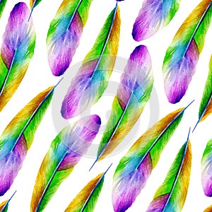 Seamless pattern of bird feathers. Watercolor drawing.