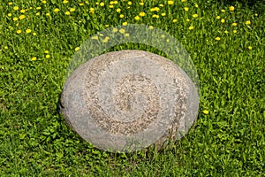 A large oval stone on a background of green grass and yellow dandelions