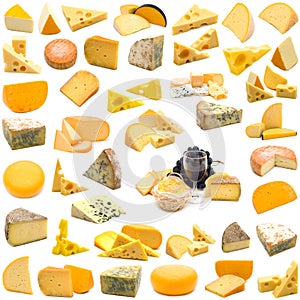 Large page of cheese collection photo