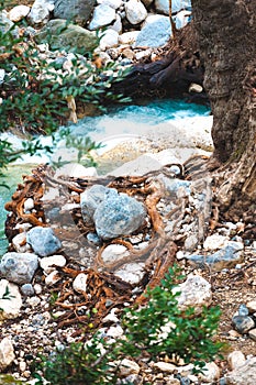 Large pebbles at the bottom of the river