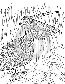 Large Pelican Standing Looking Up Tall Grass Background Colorless Line Drawing. Bird With Large Opened Beak Coloring