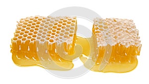 Large piece of bee honeycomb with liquid honey isolated on white background, natural healthy food, close-up