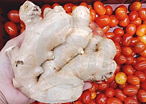 A large piece of ginger. On the background is a tomato.