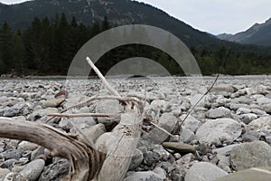 large pieces of driftwood washed ashore on a pebbled beach of a mountain river