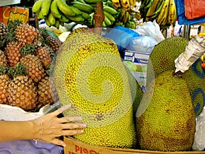 Large pieces of jackfruit in a Singapore greengrocer