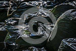 A large pile of black trash bags filled with household waste in a city street close-up. Bags with garbage