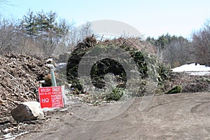 Large pile of branches and twigs to become wood chips