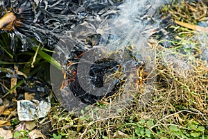 A large pile of burning branches and leaves with smoke.