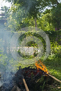 A large pile of burning branches and leaves with smoke.