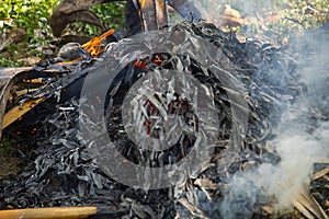 A large pile of burning branches and leaves with smoke.