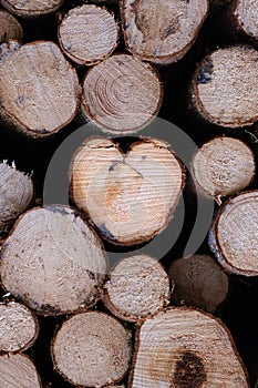a big stack of wood with logs cut in a heart shape photo