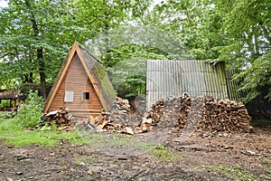 large pile of firewood near wooden house in avillage on outskirts of forest. rural abandoned building in forest