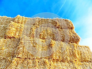 Large pile of hay bales