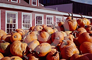 Large pile of pumpkins in front of roadside stand