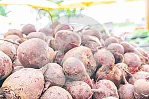 Large pile of red beet root vegetables, dried and cured, harvested and being sold at a farmer`s market. Soft, hazy lighting