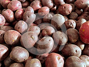 Large pile of red unpeeled raw potatoes display at a farmers marketing