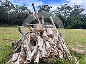 Large pile of tree logs preperd for Lag Baomer Jewish holiday