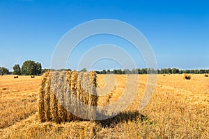 Large Piles of Hay Bales