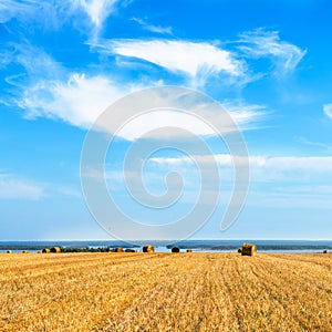 Large Piles of Hay Bales