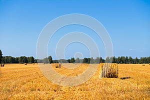 Large Piles of Hay Bales