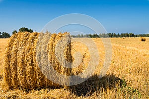 Large Piles of Hay Bales