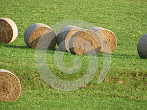 Large piles of straw animal feed collection field photo