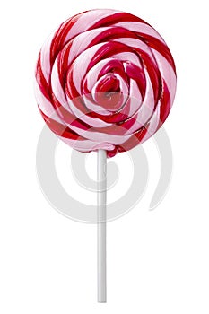 Large Pink Spiral Swirly Lollipop isolated