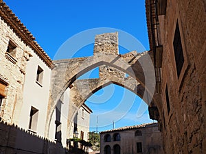 large pointed arches that give access to the benedictine monastery of santa maria de vallbona de les monges, lerida, spain, europe