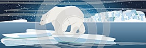 Large polar bear on an ice floe drifting in a cold northern ocean. The glacier and the snow-covered plains and the cold blue sea.
